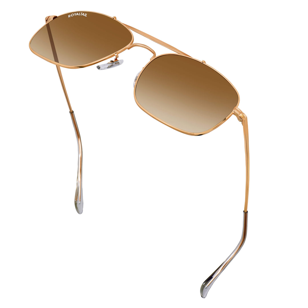 royaltail sunglasses square rt squ golden brown